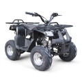 EPA 125CC ATV QUAD BIKE